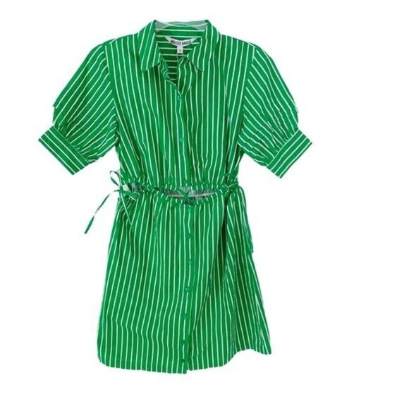 Walter Baker Cut Out Midriff Cotton Meera Dress Green Kelly Stripe size S NWT - Picture 4 of 14